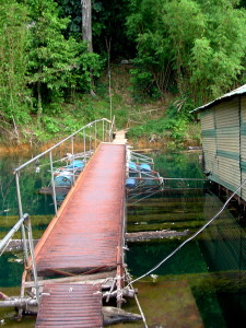 Floating walkway zum Land-WC