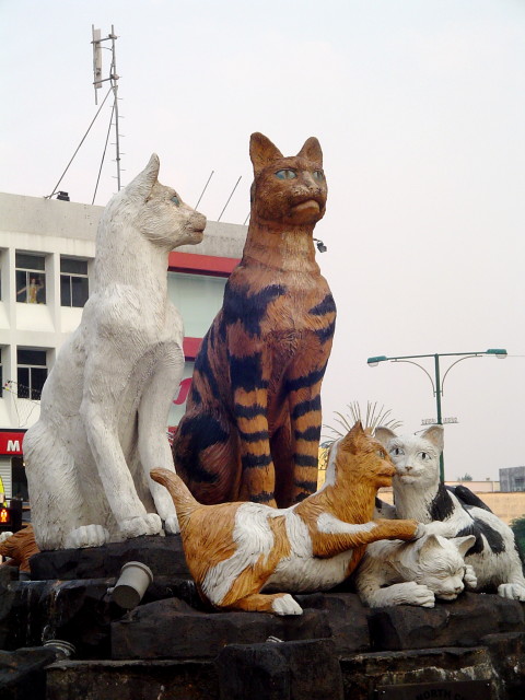 Die Katzen - Kuching