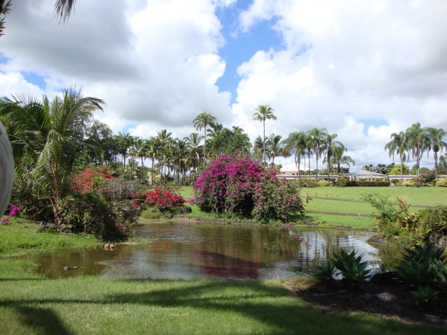 Botanical Garden