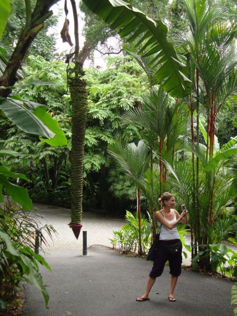 Singapur - Botanischer Garten