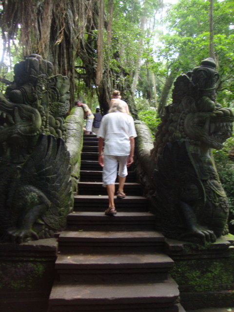 Monkey-Forest in Ubud