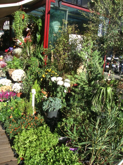 Blumenstand auf der La Rambla