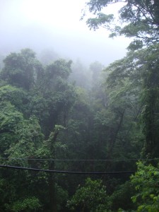 Tijuca-Nationalpark