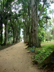 Allee - Weg - Pfad