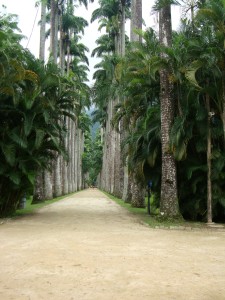 Allee - Weg - Pfad