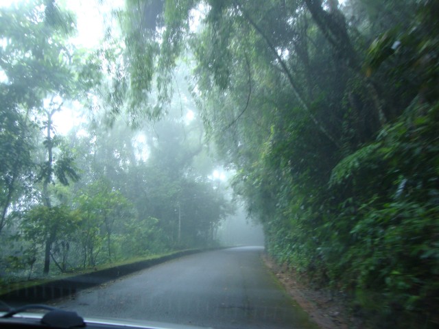  Rio Tijuca-Nationalpark