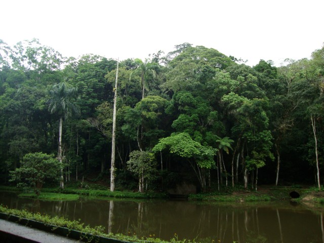 Rio Tijuca-Nationalpark