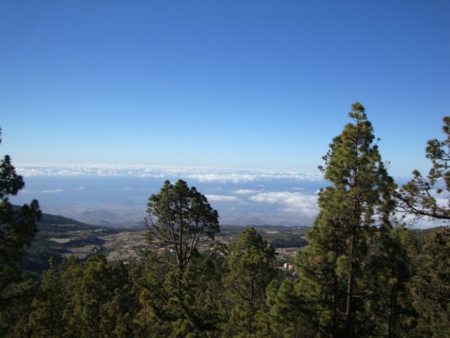 Blick Richtung Los Cristianos und die Küste