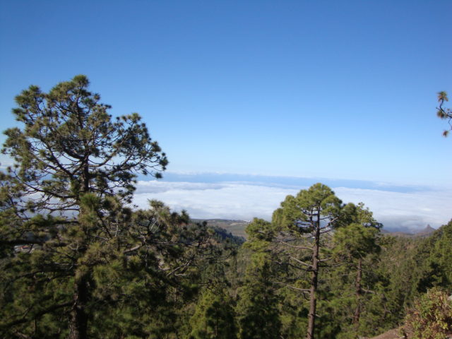 Blick Richtung Los Cristianos und die Küste