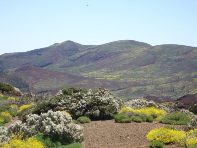 Las Cañdas del Teide